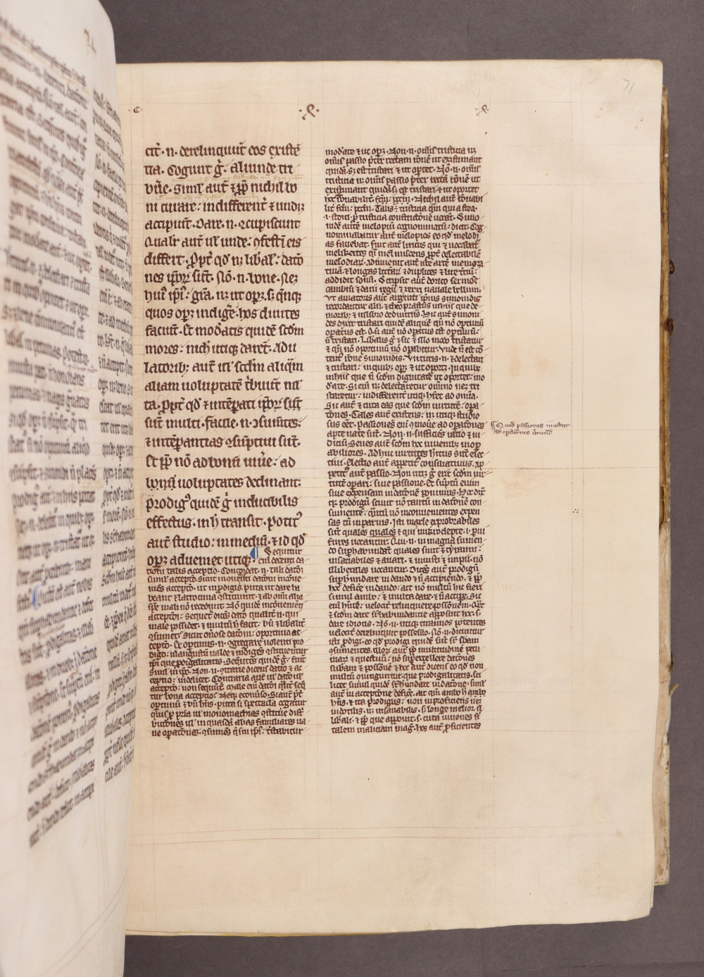 Folio 71 recto